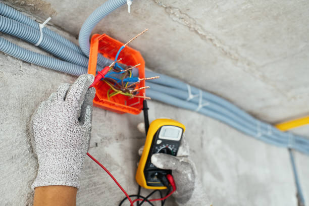 Best Local Electrician Companies  in Ceredo, WV